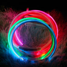Load image into Gallery viewer, Led Usb Dog Collar  Pet Dog Collar  Night Dog Collars Glowing Luminous Rechargeable LED  Night Safety Flashing Glow
