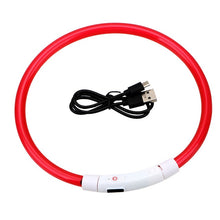 Load image into Gallery viewer, Led Usb Dog Collar  Pet Dog Collar  Night Dog Collars Glowing Luminous Rechargeable LED  Night Safety Flashing Glow
